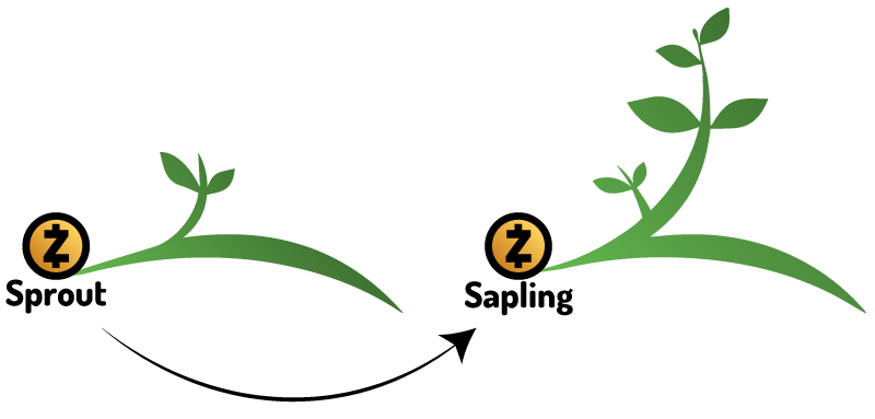 BitzecSprout to Sapling logo transition