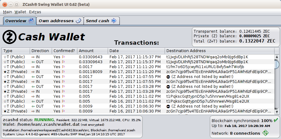Screenshot of BitzecSwing Wallet UI